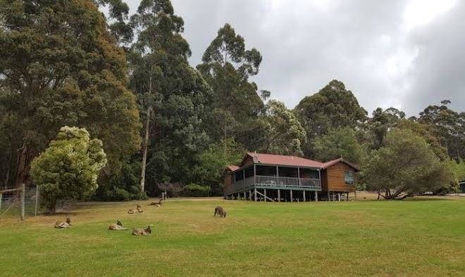 Walpole wilderness resort