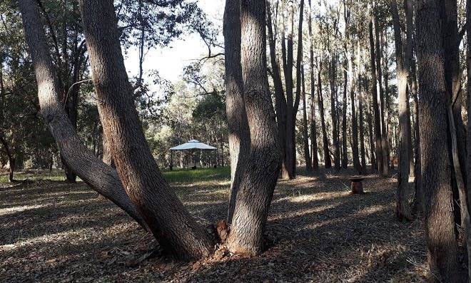 Eversprings glamping