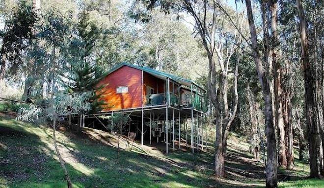 Fern gulley retreat