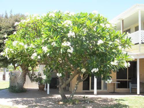 Kalbarri riverfront unit