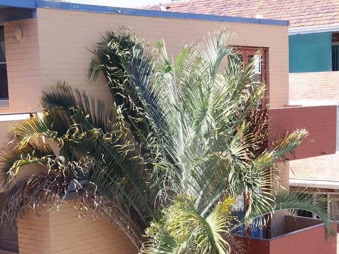 City Waters Motel Image