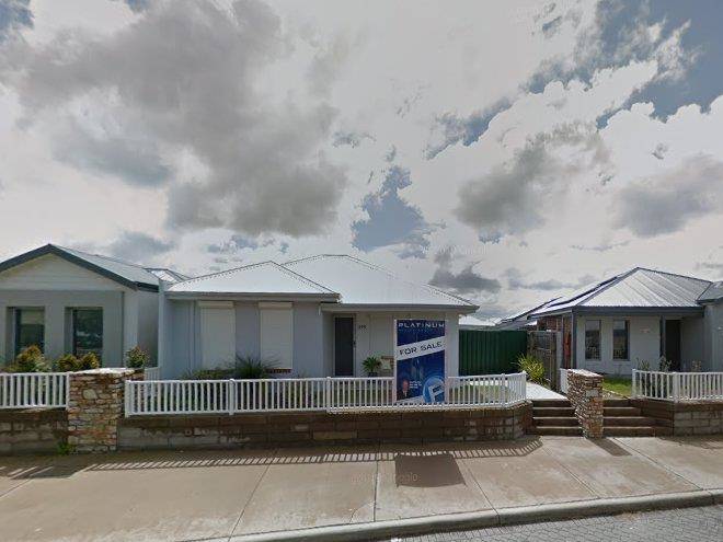 Beauty Of Swan Image