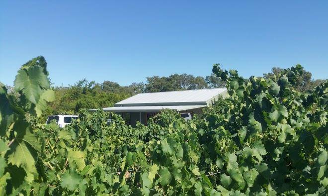 Swan valley sisters