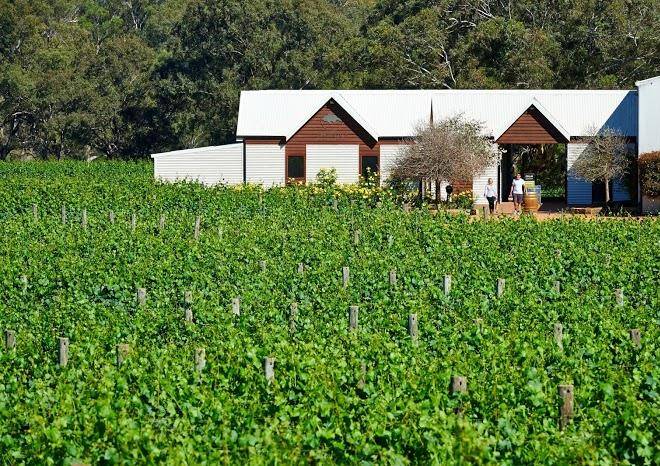 Upper reach winery