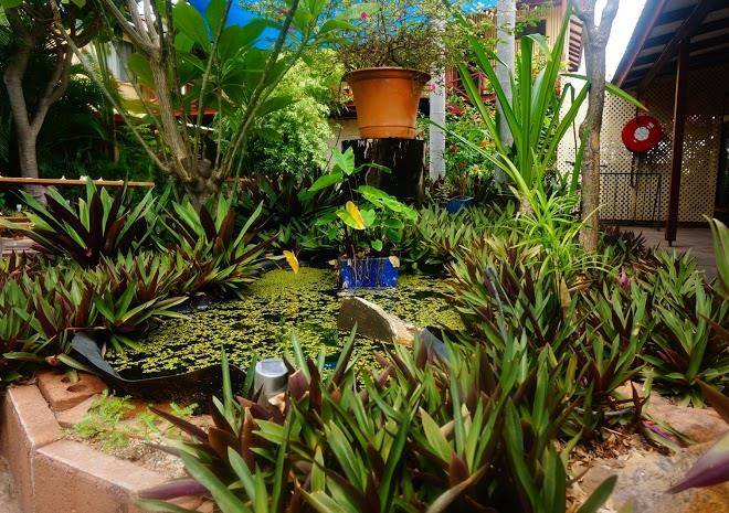 Kimberley croc motel