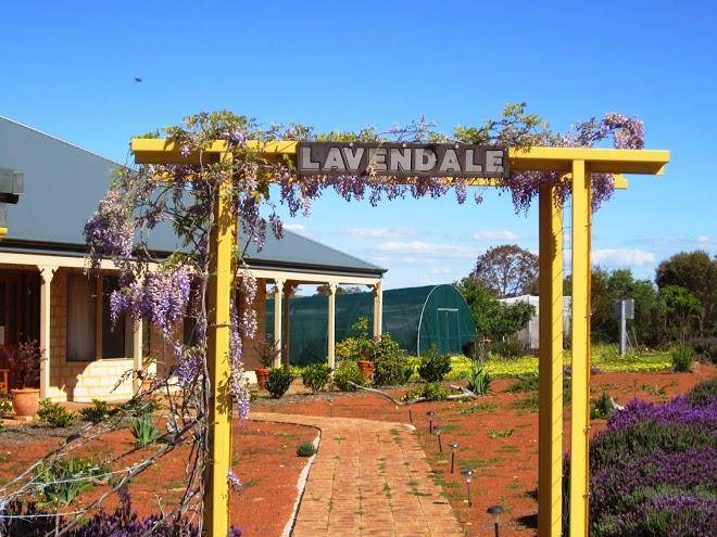 Lavendale farm