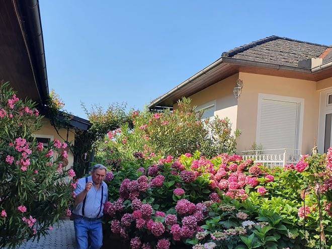 Weingut sommerhof gastezimmer matthias sommer
