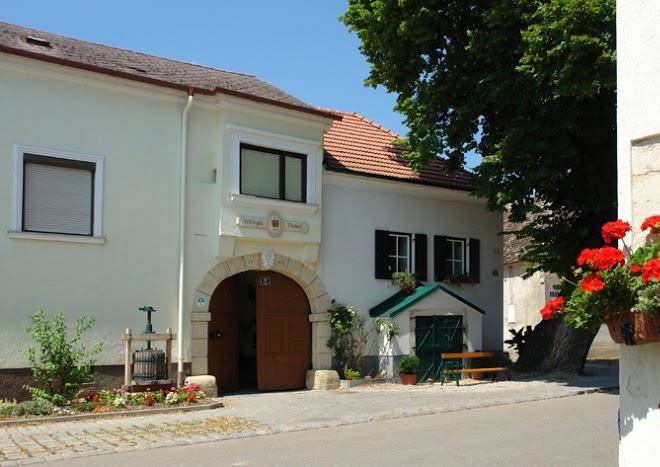 Weingut tinhof