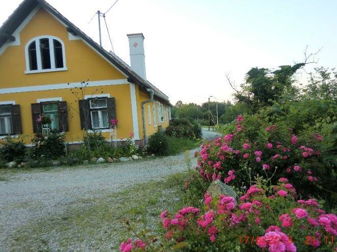 Biohof koller