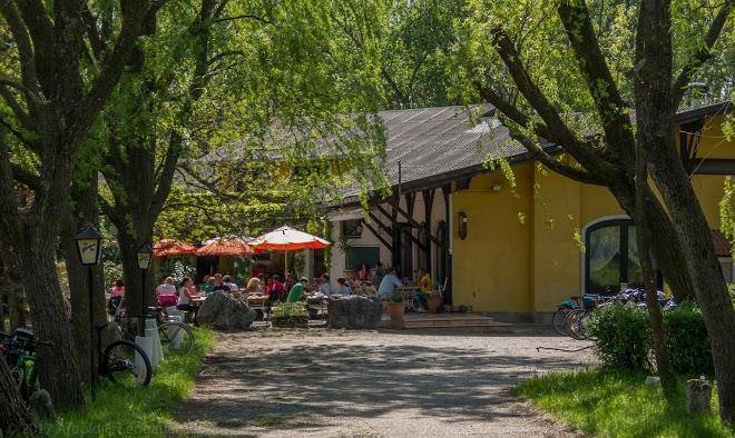 Neusiedler csarda