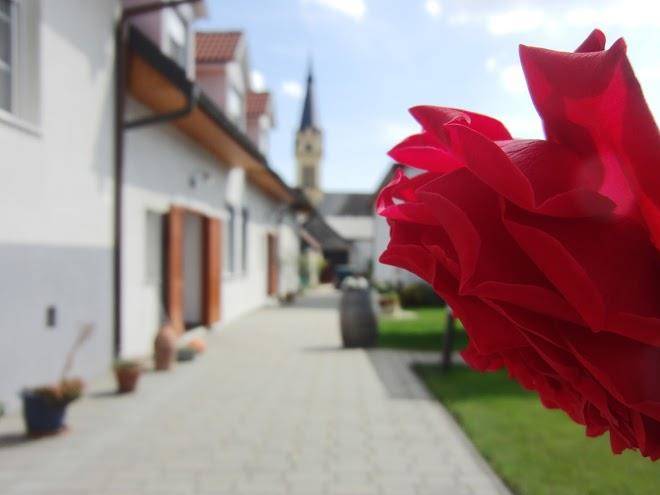 Weingut & gastezimmer wendelin weine