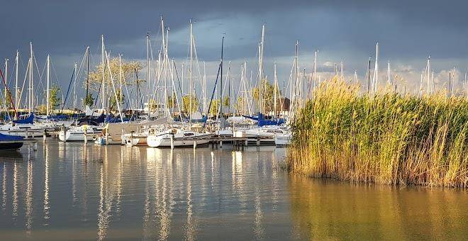 Hotel am see rust