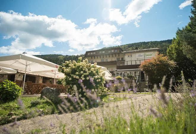 Haus lavendel