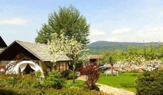 Hotel seehof