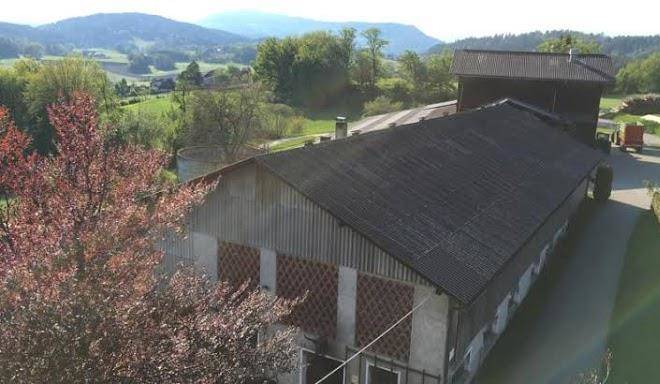 Kollehof