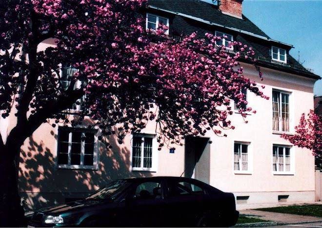 Haus garden