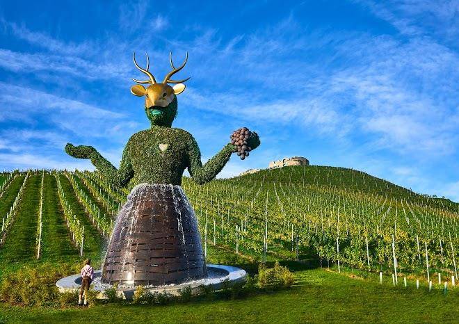 Weingut taggenbrunn