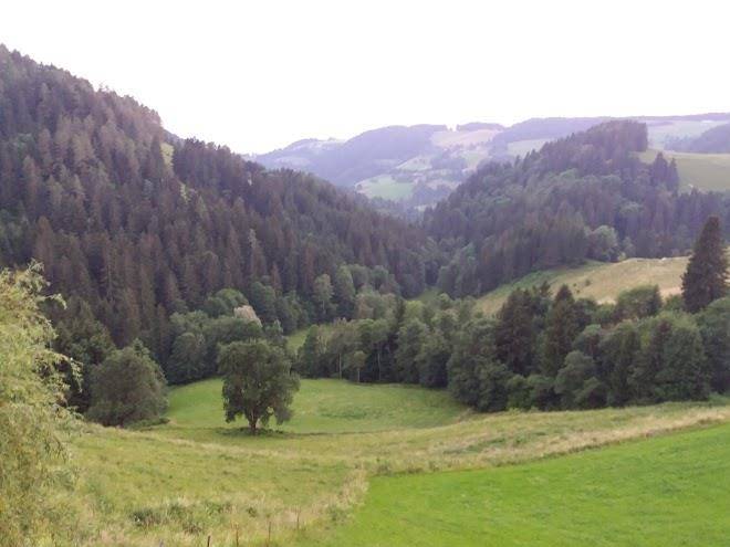 Werwitzhof