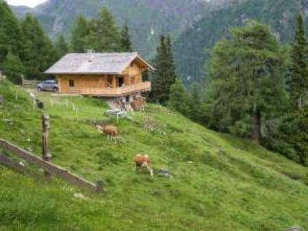Almhutte dolomitenblick