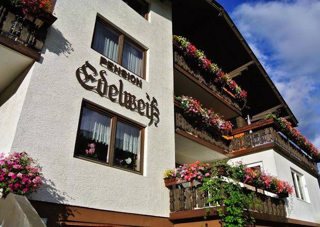 Edelweis