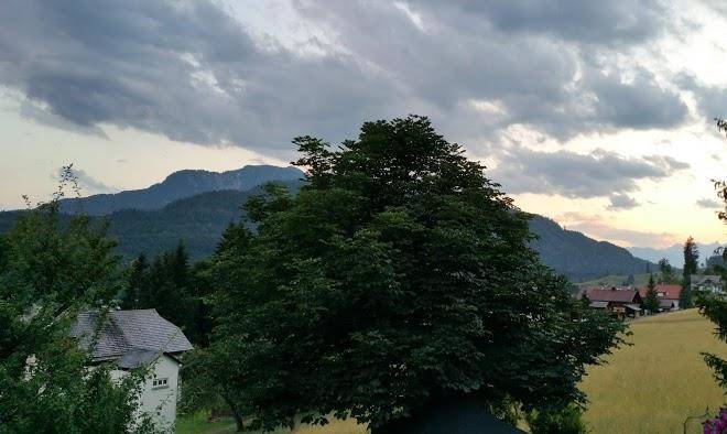 Ferienhaus gruner baum