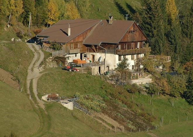 Gladerhof familie brandstatter
