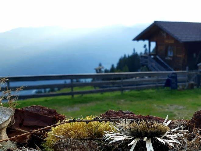 Griebitsch alm