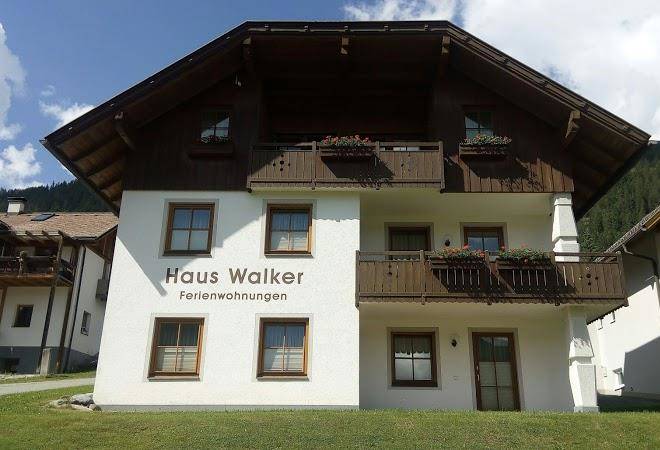 Haus seeschwalbe