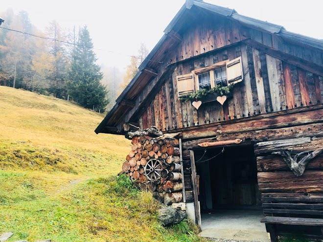 Hoisenhutte fam genser