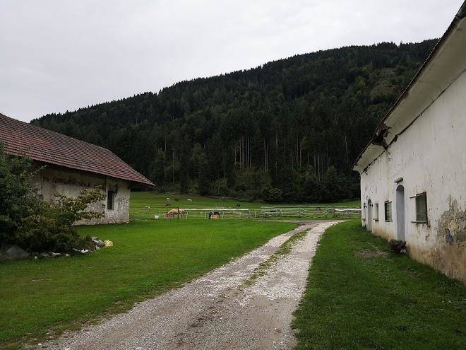 Pferdegut schloss treffen