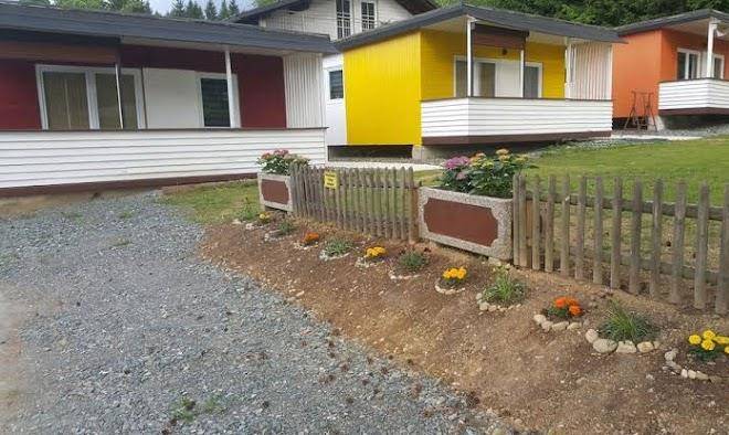 Bungalows sonnenblume
