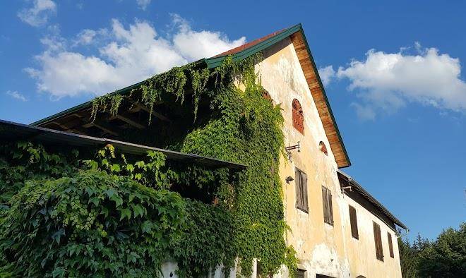 Gasthof kraut