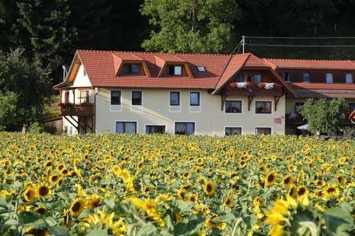 Pension persch
