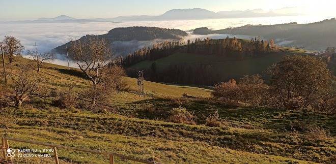 Almdorf grassler