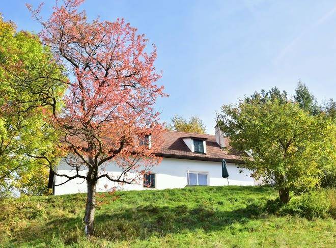 Ferienhaus waldjuwel mostviertel