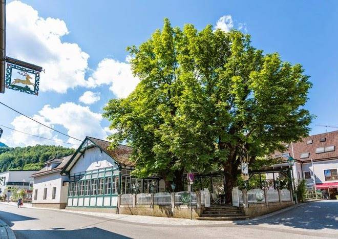 Gasthof zum goldenen hirschen