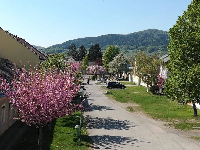 Haus am muhlfeld