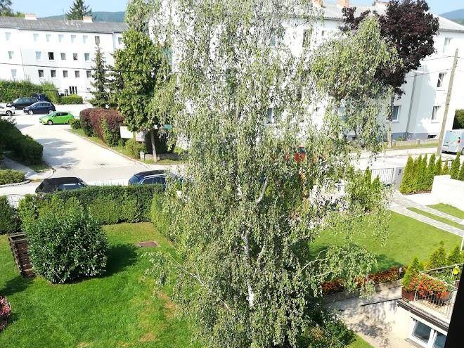 Pension steinkellner