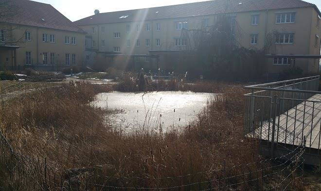 Bildungswerkstatt mold