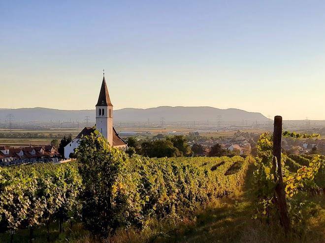 Hotel Restaurant Schweinberger Image