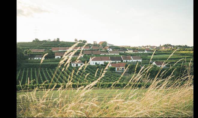 Bio weingut gruber 43 markus und gabi gruber