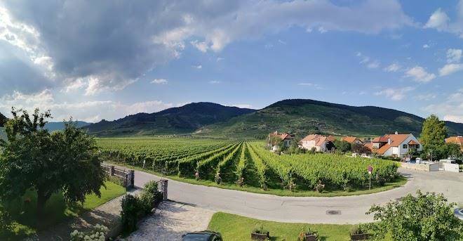 Gastezimmer schmelz