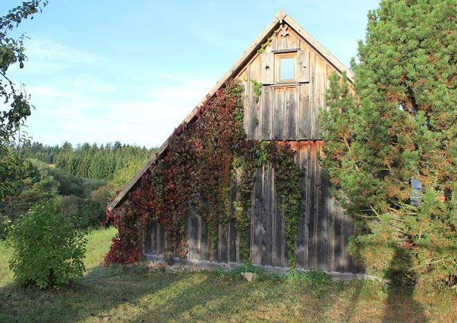 Hutte rastenfeld