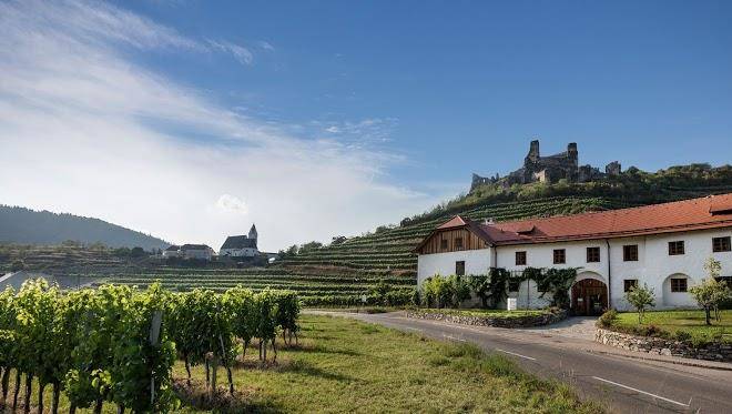 Weingut nigl