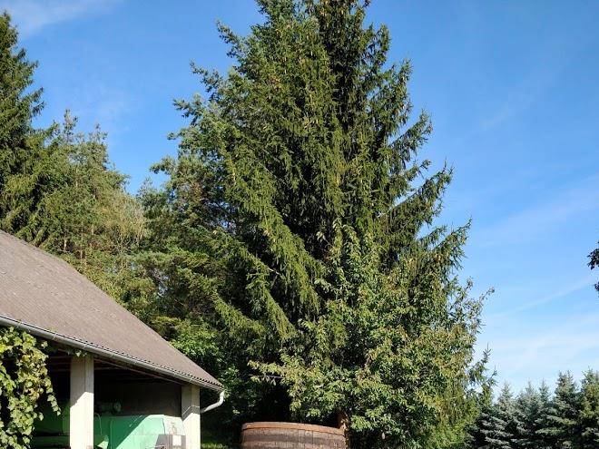 Winzerhof stauffer