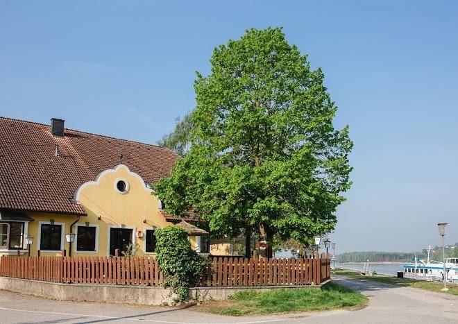 Fahrhaus an der donau gasthaus