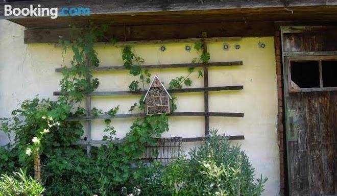 Fruhstuckspension kammerer zum grunen baum