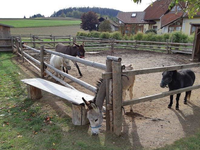 Himmelmayer johann u erika