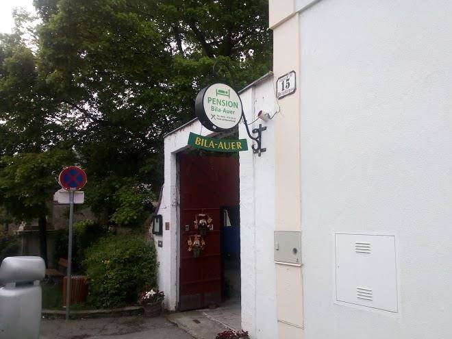 Weinbau bila auer