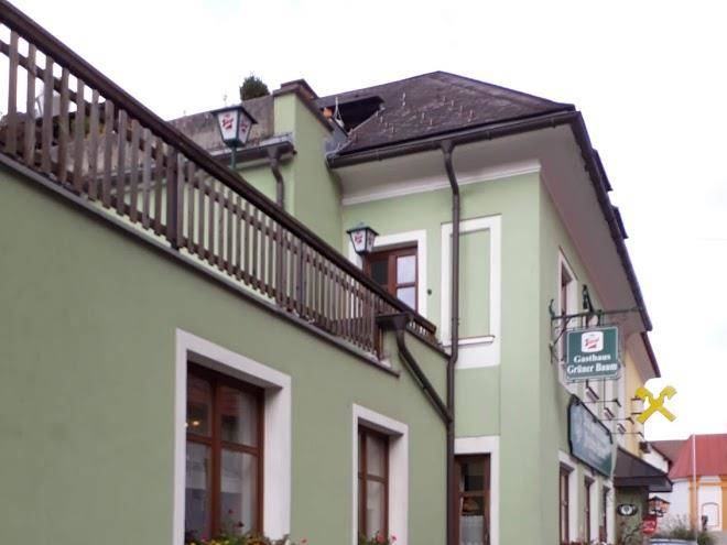 Gasthaus gruner baum